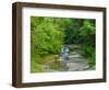 Water falling from rocks, Eagle Cliff Falls, Havana Glen Park, Finger Lakes Region, New York Sta...-null-Framed Photographic Print