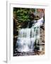 Water falling from rocks in a forest, Genoa Falls, Kitchen Creek, Ricketts Glen State Park, Penn...-null-Framed Photographic Print