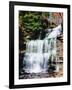 Water falling from rocks in a forest, Genoa Falls, Kitchen Creek, Ricketts Glen State Park, Penn...-null-Framed Photographic Print