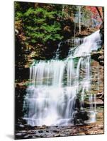 Water falling from rocks in a forest, Genoa Falls, Kitchen Creek, Ricketts Glen State Park, Penn...-null-Mounted Photographic Print