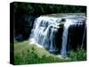 Water falling from rocks in a forest, Middle Falls, Genesee River, Letchworth State Park, New Yo...-null-Stretched Canvas