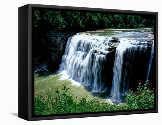 Water falling from rocks in a forest, Middle Falls, Genesee River, Letchworth State Park, New Yo...-null-Framed Stretched Canvas