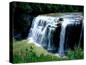 Water falling from rocks in a forest, Middle Falls, Genesee River, Letchworth State Park, New Yo...-null-Stretched Canvas