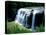 Water falling from rocks in a forest, Middle Falls, Genesee River, Letchworth State Park, New Yo...-null-Stretched Canvas