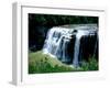 Water falling from rocks in a forest, Middle Falls, Genesee River, Letchworth State Park, New Yo...-null-Framed Photographic Print