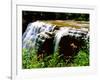 Water falling from rocks in a forest, Middle Falls, Genesee River, Letchworth State Park, New Yo...-null-Framed Photographic Print