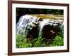 Water falling from rocks in a forest, Middle Falls, Genesee River, Letchworth State Park, New Yo...-null-Framed Photographic Print