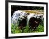 Water falling from rocks in a forest, Middle Falls, Genesee River, Letchworth State Park, New Yo...-null-Framed Photographic Print