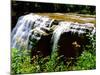 Water falling from rocks in a forest, Middle Falls, Genesee River, Letchworth State Park, New Yo...-null-Mounted Photographic Print