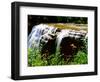 Water falling from rocks in a forest, Middle Falls, Genesee River, Letchworth State Park, New Yo...-null-Framed Photographic Print