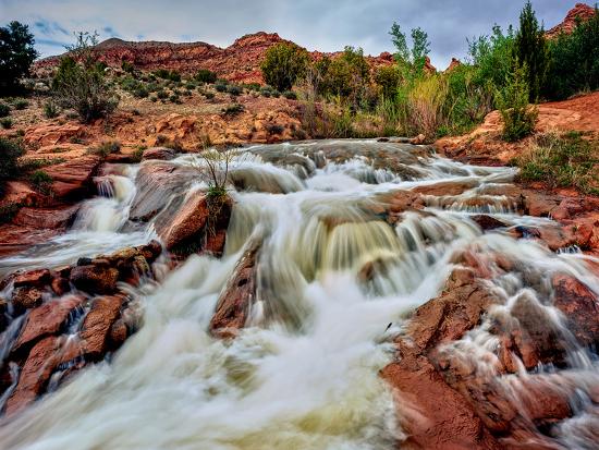 Premium Photographic Print, , large