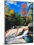 Water falling into a river, Pemigewasset River, Franconia Notch State Park, White Mountains, New...-null-Mounted Photographic Print