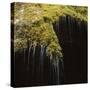 Water Falling Off Mossy Cliff-Micha Pawlitzki-Stretched Canvas