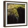 Water Falling Off Mossy Cliff-Micha Pawlitzki-Framed Photographic Print