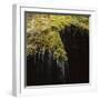 Water Falling Off Mossy Cliff-Micha Pawlitzki-Framed Photographic Print