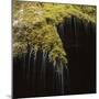 Water Falling Off Mossy Cliff-Micha Pawlitzki-Mounted Photographic Print