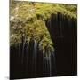 Water Falling Off Mossy Cliff-Micha Pawlitzki-Mounted Photographic Print