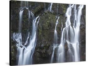 Water Falling Through Rocks, Cascade De La Grand Ravine, Reunion Island-null-Stretched Canvas