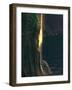 Water Falls at Sunset-null-Framed Photographic Print