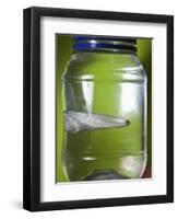 Water Figure-Alan Sailer-Framed Photographic Print