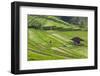 Water-Filled Rice Terraces, Bali Island, Indonesia-Keren Su-Framed Photographic Print