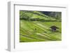 Water-Filled Rice Terraces, Bali Island, Indonesia-Keren Su-Framed Photographic Print