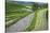 Water-Filled Rice Terraces, Bali Island, Indonesia-Keren Su-Stretched Canvas