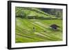 Water-Filled Rice Terraces, Bali Island, Indonesia-Keren Su-Framed Photographic Print