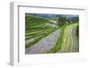 Water-Filled Rice Terraces, Bali Island, Indonesia-Keren Su-Framed Photographic Print