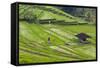 Water-Filled Rice Terraces, Bali Island, Indonesia-Keren Su-Framed Stretched Canvas