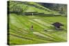 Water-Filled Rice Terraces, Bali Island, Indonesia-Keren Su-Stretched Canvas