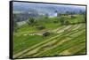 Water-Filled Rice Terraces, Bali Island, Indonesia-Keren Su-Framed Stretched Canvas