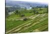 Water-Filled Rice Terraces, Bali Island, Indonesia-Keren Su-Stretched Canvas