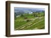 Water-Filled Rice Terraces, Bali Island, Indonesia-Keren Su-Framed Photographic Print