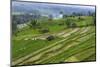 Water-Filled Rice Terraces, Bali Island, Indonesia-Keren Su-Mounted Photographic Print