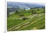 Water-Filled Rice Terraces, Bali Island, Indonesia-Keren Su-Framed Photographic Print