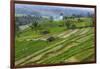 Water-Filled Rice Terraces, Bali Island, Indonesia-Keren Su-Framed Photographic Print