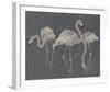Water Flamboyance - Flock-Aurora Bell-Framed Giclee Print