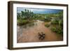 Water flooding across Prickly pear landscape, South Texas-Karine Aigner-Framed Photographic Print