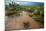 Water flooding across Prickly pear landscape, South Texas-Karine Aigner-Mounted Photographic Print