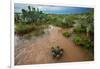 Water flooding across Prickly pear landscape, South Texas-Karine Aigner-Framed Photographic Print