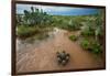 Water flooding across Prickly pear landscape, South Texas-Karine Aigner-Framed Photographic Print