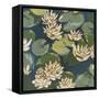 Water Flowers II-Megan Meagher-Framed Stretched Canvas