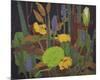 Water Flowers-Tom Thomson-Mounted Giclee Print