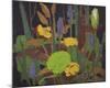 Water Flowers-Tom Thomson-Mounted Giclee Print