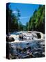 Water flowing from rocks in a forest, Buttermilk Falls, Raquette River, Adirondack Mountains, Ne...-null-Stretched Canvas