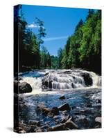 Water flowing from rocks in a forest, Buttermilk Falls, Raquette River, Adirondack Mountains, Ne...-null-Stretched Canvas