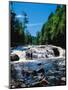 Water flowing from rocks in a forest, Buttermilk Falls, Raquette River, Adirondack Mountains, Ne...-null-Mounted Photographic Print