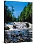 Water flowing from rocks in a forest, Buttermilk Falls, Raquette River, Adirondack Mountains, Ne...-null-Stretched Canvas