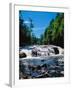 Water flowing from rocks in a forest, Buttermilk Falls, Raquette River, Adirondack Mountains, Ne...-null-Framed Photographic Print